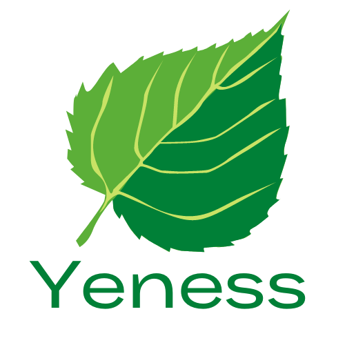 Yeness Store